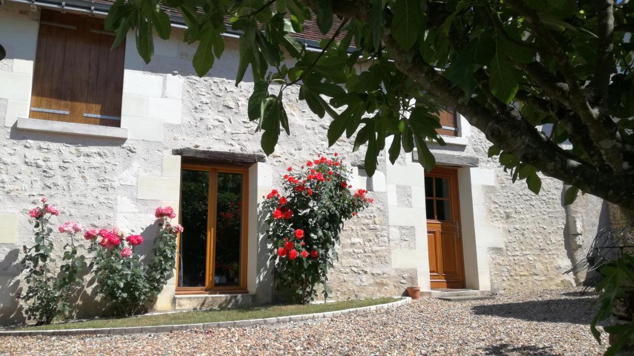 La Haute Traversiere Francueil Exterior foto